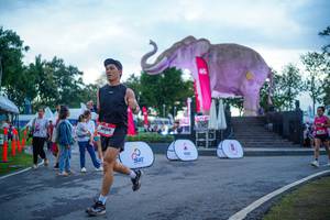 BIB: 
                            <button type="button" onclick="openModal(26551716)" class="btn btn-primary btn-sm float-right btn-popup" data-toggle="modal" data-target=".modal-high-quality">
                        <i class="fas fa-shopping-cart"></i> Add to Cart
                    </button>
                                            <button type="button" onclick="isThisMe(26551716, true)" class="btn btn-success btn-sm float-right btn-popup btn-isme hidden" data-toggle="tooltip" data-placement="bottom" title="นี่คือรูปของคุณใช่ไหม คลิกที่นี่เพื่อเอาเข้าอัลบั้ม">
                        <i class="fas fa-plus"></i> Add to album
                    </button>
                    <button type="button" onclick="isThisMe(26551716, false)" class="btn btn-warning btn-sm float-right btn-popup btn-isnotme hidden">
                        <i class="fas fa-ban"></i> Remove from album
                    </button>